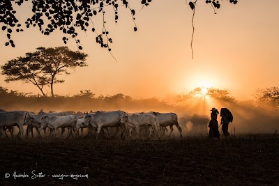 Alexandre Sattler – Gaia Images