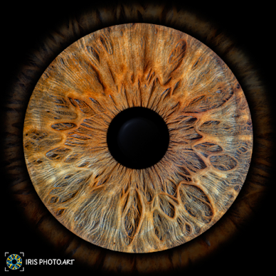 IRIS PHOTO.ART Colmar