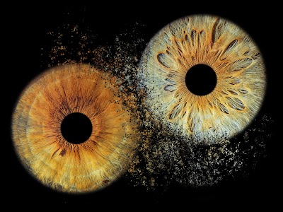 ikomiris Colmar – Photographie de l’iris