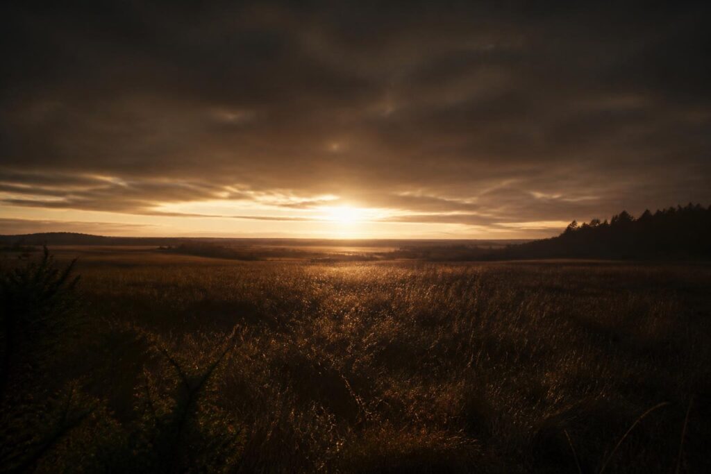 découvrez l'exposition "silences du soleil", une plongée visuelle captivante à travers des photographies saisissantes qui illuminent la beauté discrète du soleil. une expérience artistique à ne pas manquer.