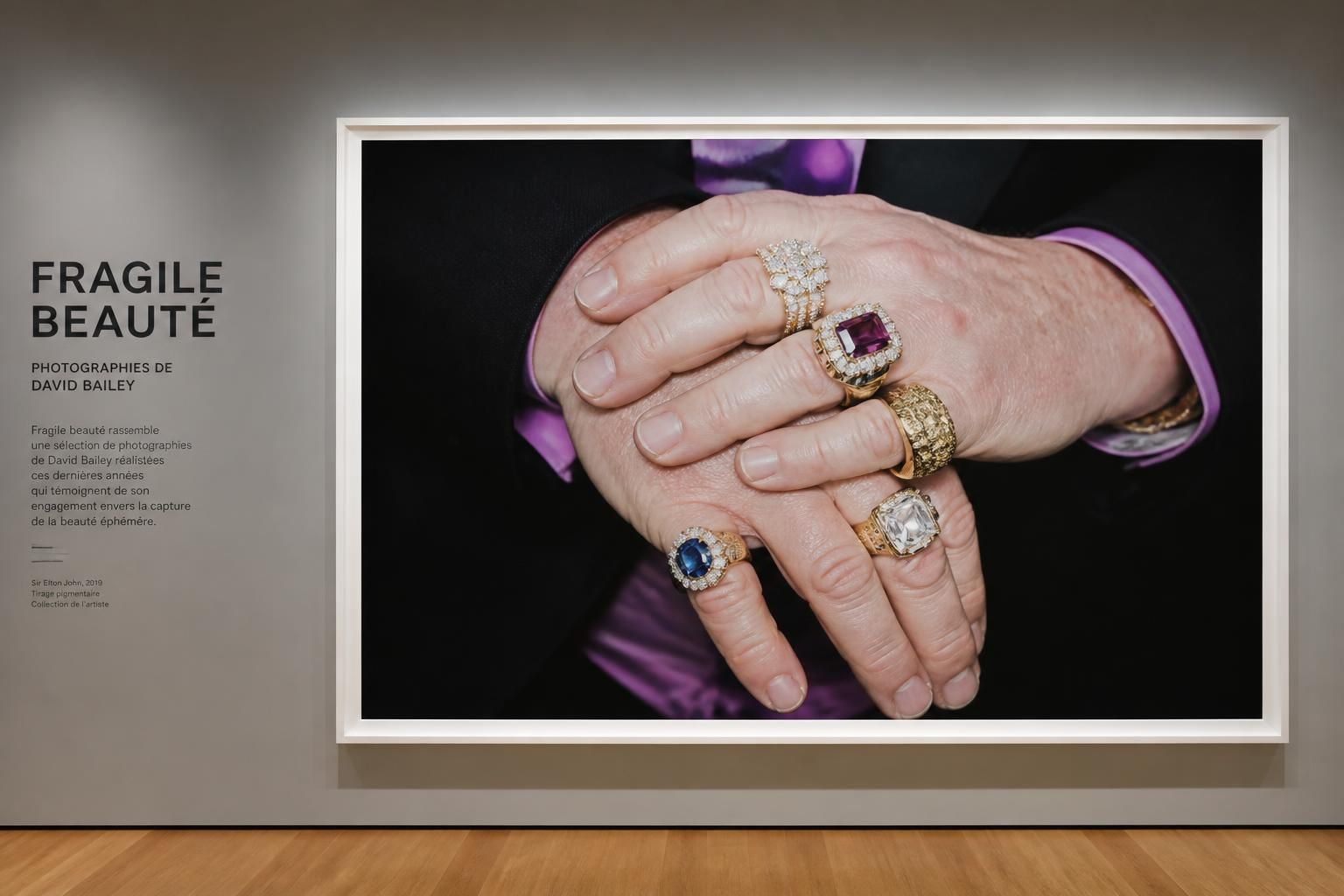 découvrez « fragile beauté », une exposition unique qui célèbre la passion intime et l'histoire d'amour entre sir elton john et david furnish à travers des œuvres émouvantes et inspirantes.