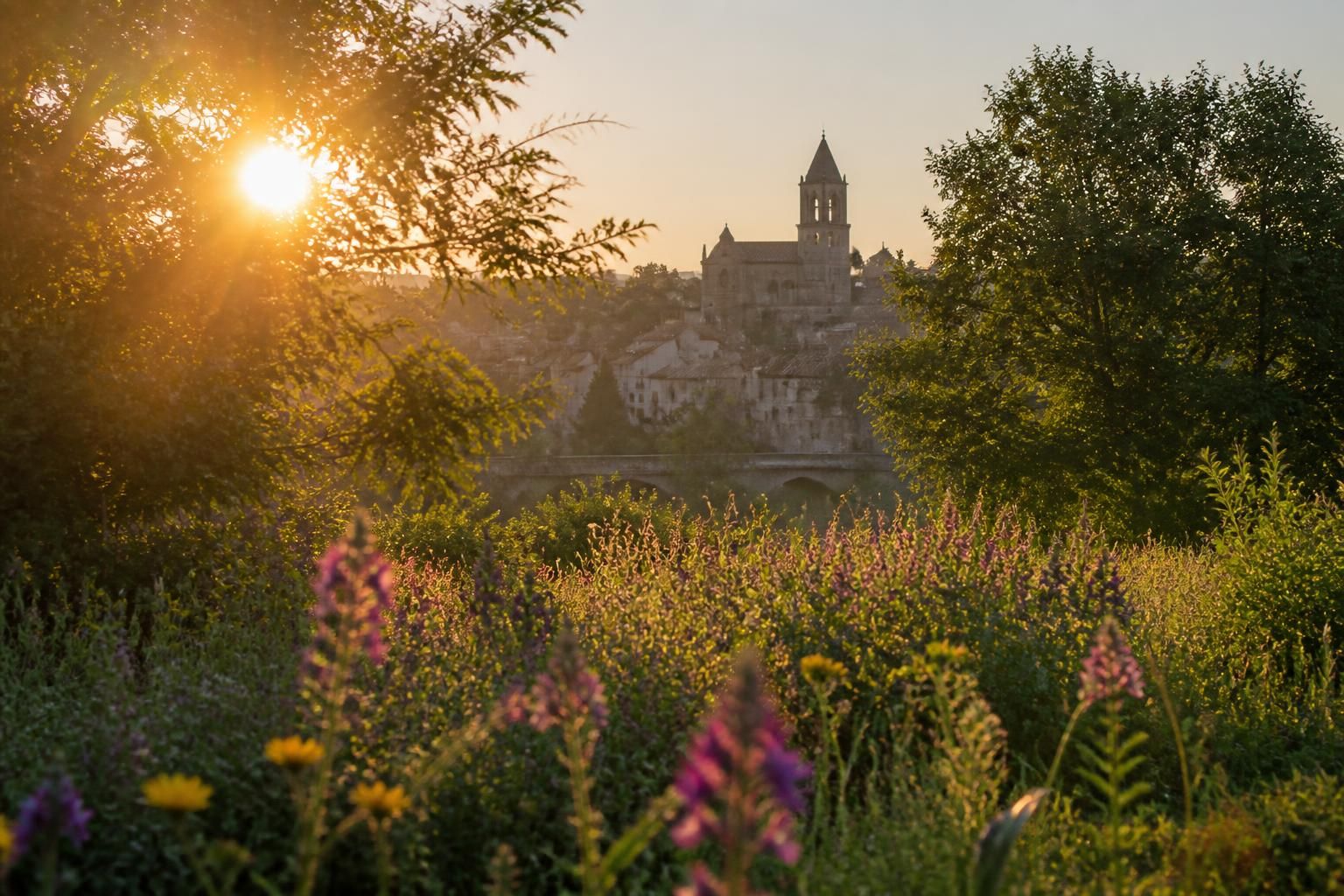 à Brioude, la photographie donne vie à l'été naissant 1 découvrez comment la photographie capture la beauté et la magie de l'été naissant à brioude, révélant des moments uniques et authentiques de cette saison pleine de vie.