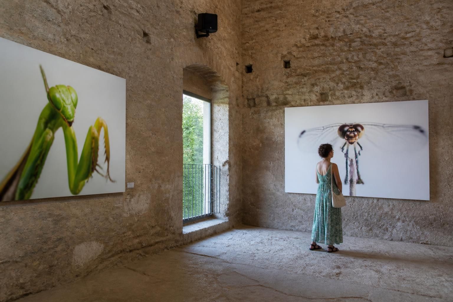 Entre clichĂ©s et mots : une exposition pour plonger au cĆur de la « fragilitĂ© des temporels » 7 dĂ©couvrez l'exposition « entre clichĂ©s et mots » qui explore la « fragilitĂ© des temporels » Ă travers une immersion artistique mĂȘlant photographie et poĂ©sie.