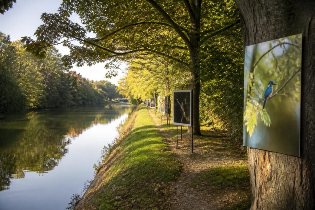 découvrez l'exposition photographique 'au fil de l'eau' à malzéville, une immersion artistique à ne pas manquer jusqu'au 18 octobre.