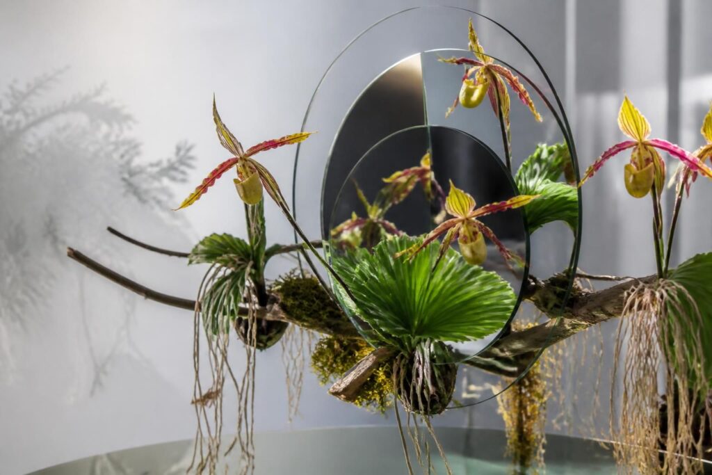 découvrez l'exposition photographique captivante d'une artiste qui mêle habilement botanique et illusion, offrant un voyage visuel unique entre nature et créativité.