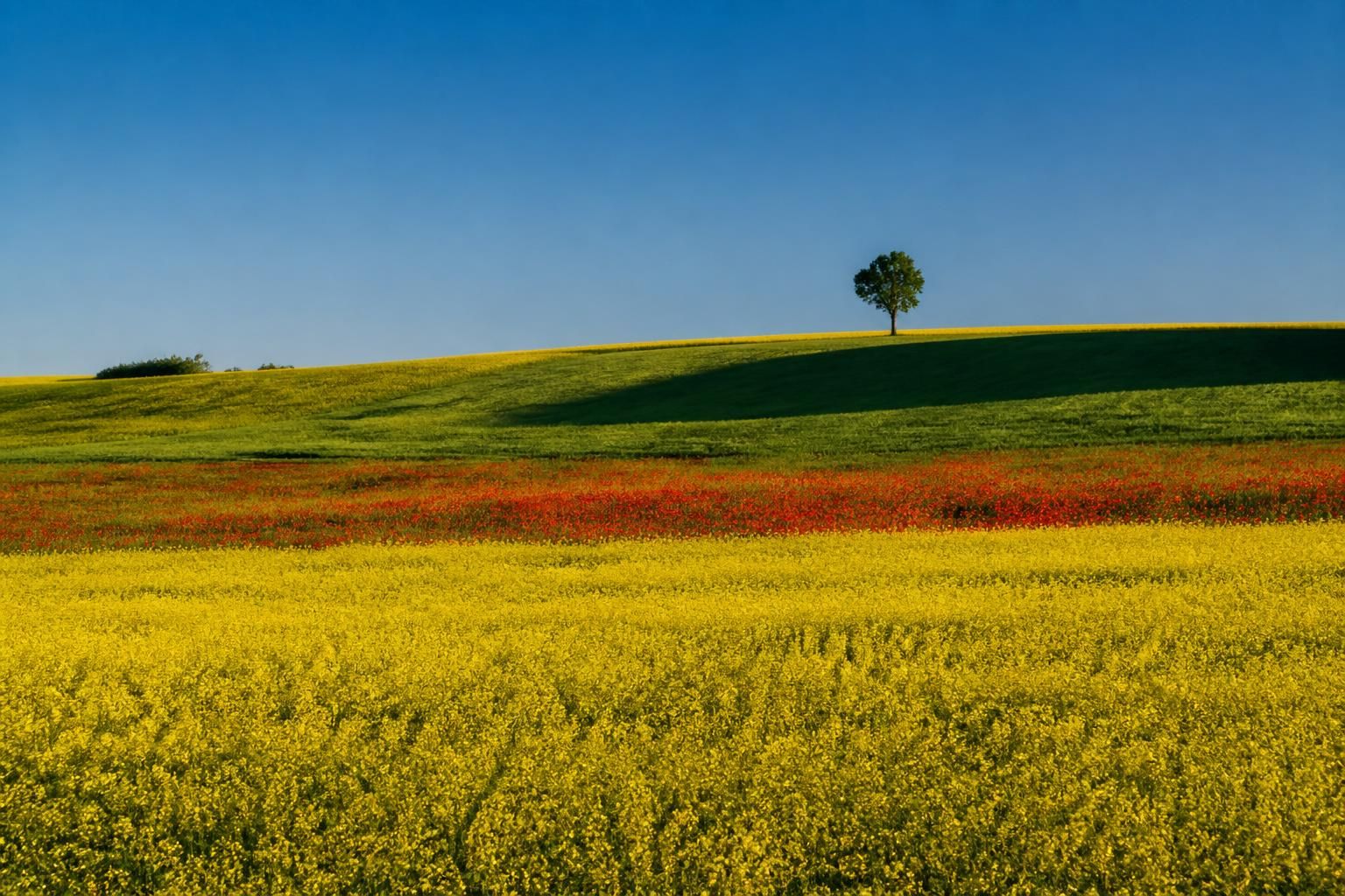 décès de franco fontana à 92 ans, icône italienne reconnue pour ses innovations en photographie couleur et son influence majeure dans le domaine artistique.