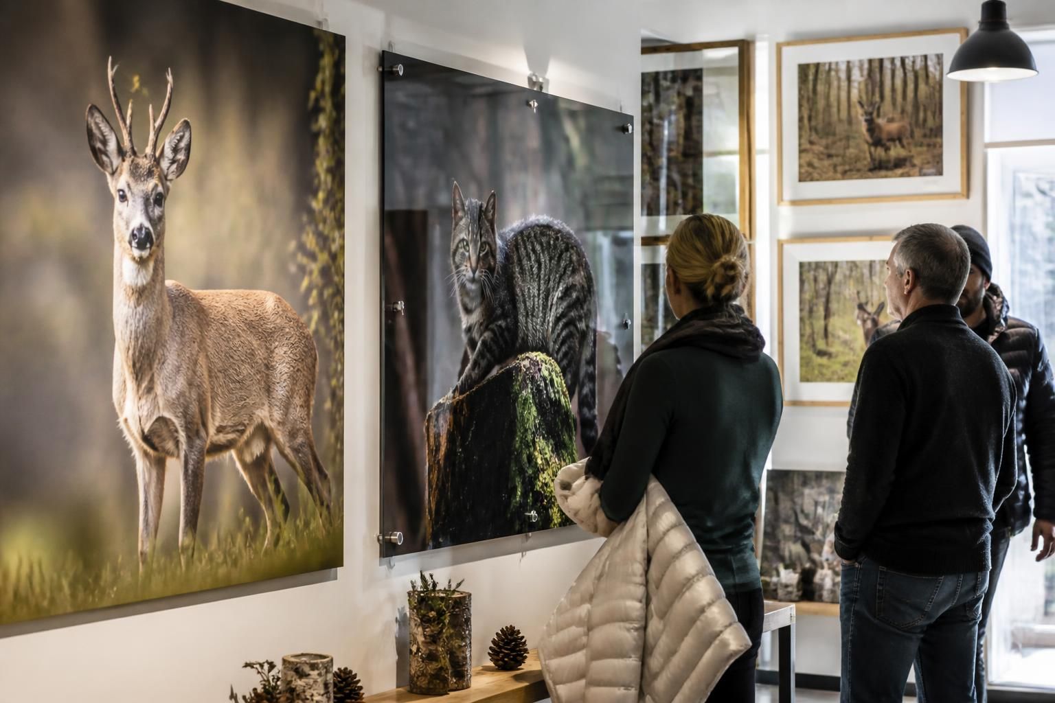 L'art de la photographie animalière à l'honneur à l'Agence d'Attractivité 7 découvrez l'art fascinant de la photographie animalière mis à l'honneur à l'agence d'attractivité, une célébration de la faune capturée avec passion et expertise.