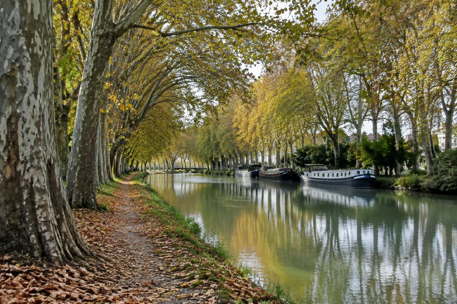 à colomiers, découvrez au pavillon blanc une invitation à parcourir les paysages, leurs reliefs, leurs horizons et les émotions qu’ils révèlent.