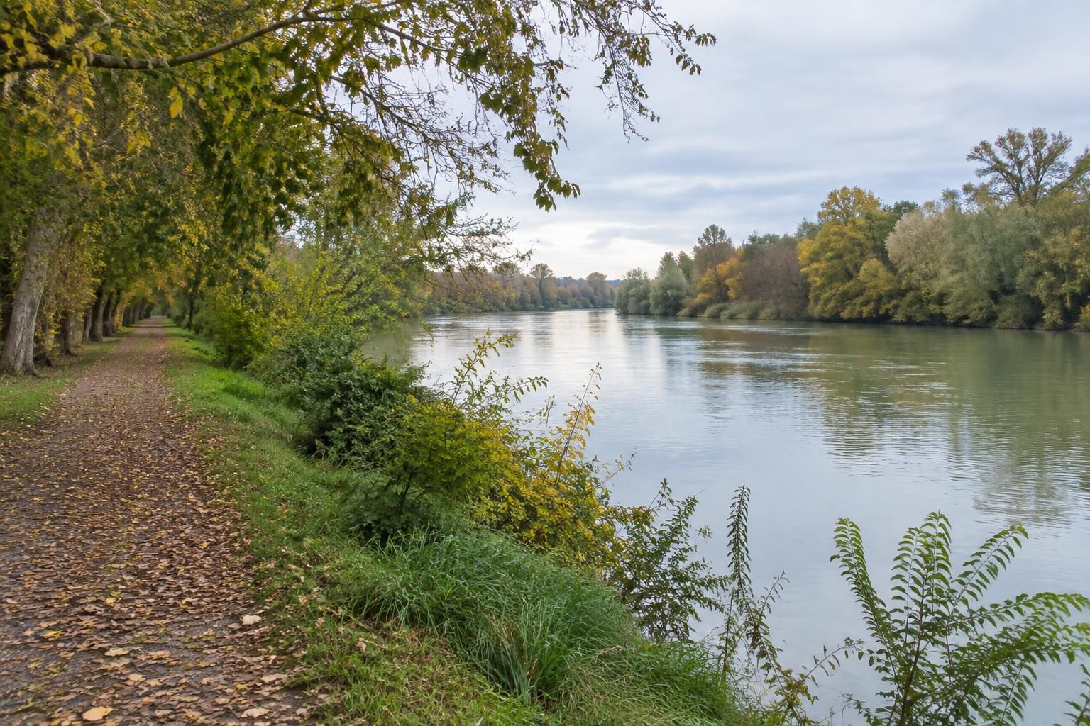 À Verdun-sur-Garonne, la Garonne se dévoile 7 à verdun-sur-garonne, laissez-vous séduire par les paysages de la garonne, ses berges paisibles et les trésors naturels qui l’entourent.